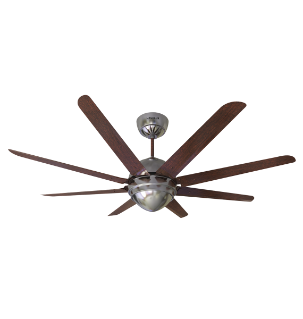 Havells Ceiling Fans - special finish